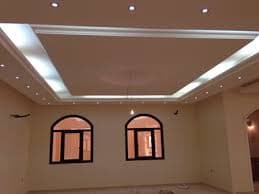 صورة الفني